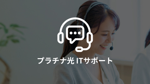プラチナ光 ITサポート