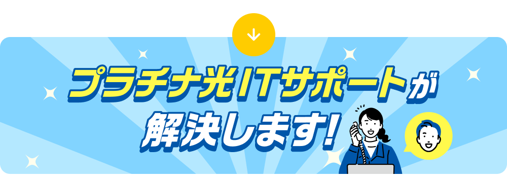 プラチナ光ITサポート